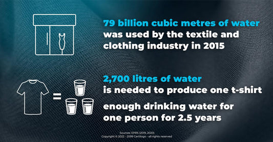 The environmental impact of the Textile and Fashion industries
