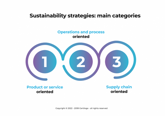 Are there different types of sustainability strategies?