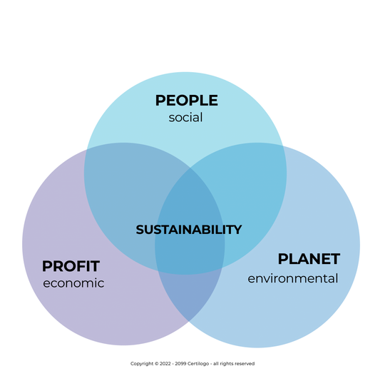 What is Corporate Social Responsibility?