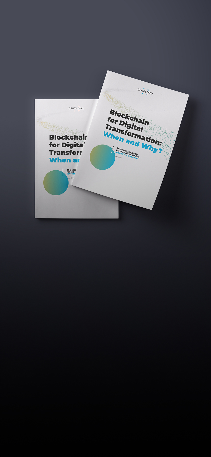 Blockchain for Digital Transformation: When and Why?