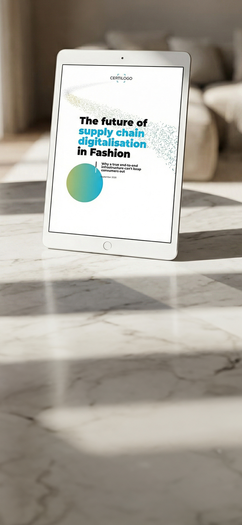 The X-factor in a successful supply chain digitalisation project